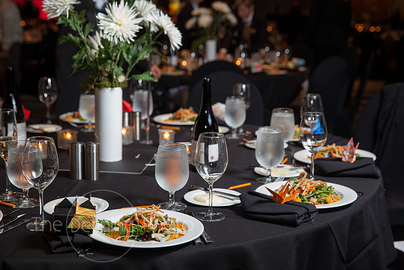 Splendor_Gala_017