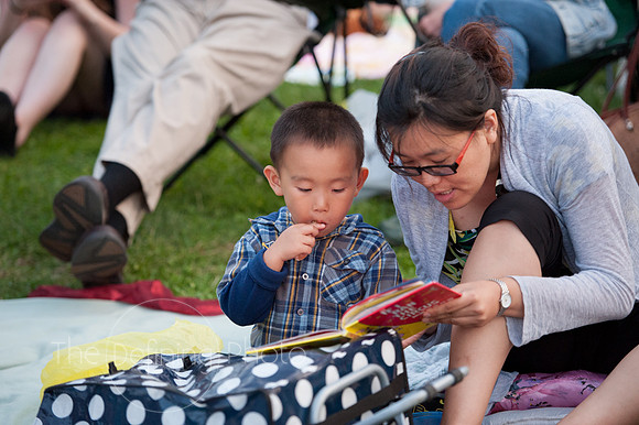 IFOAI_2013_225