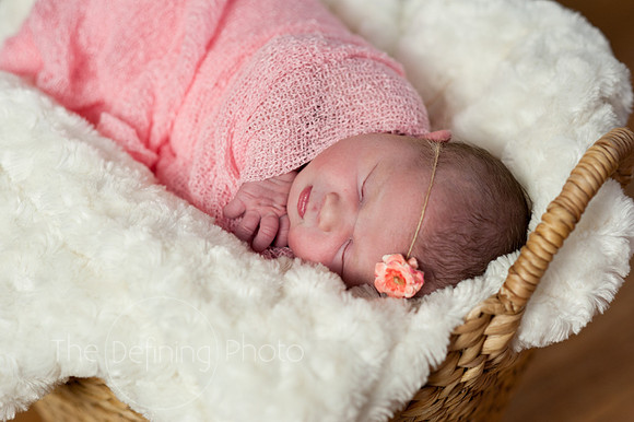 Harper_NB_02