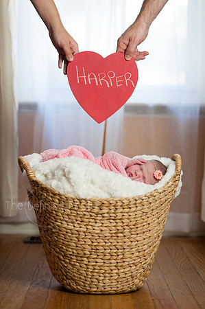 Harper_NB_24