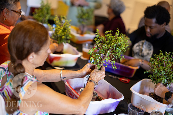 Bonsai_and_Brew_105