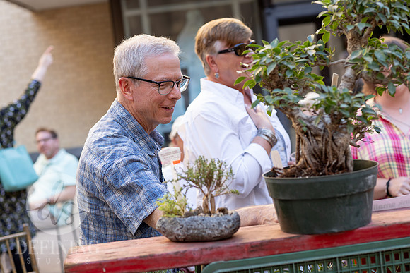 Bonsai_and_Brew_080