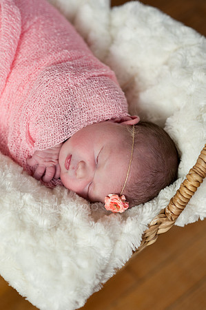 Harper_NB_05