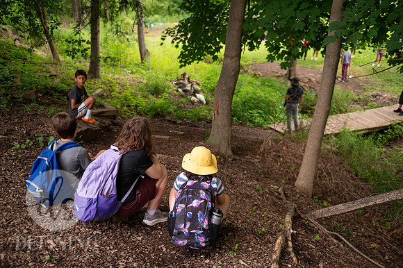 Summer_Program_D2_042