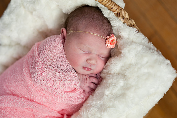 Harper_NB_04