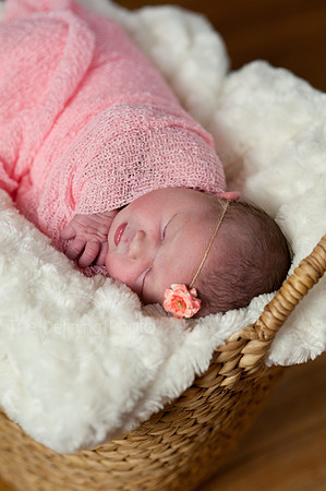 Harper_NB_01