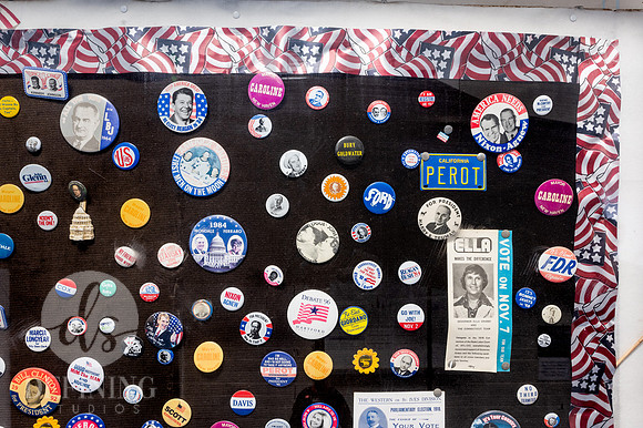 Political_Pins_-4