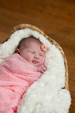 Harper_NB_08