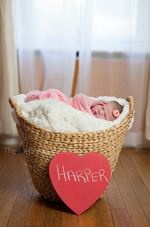 Harper_NB_23