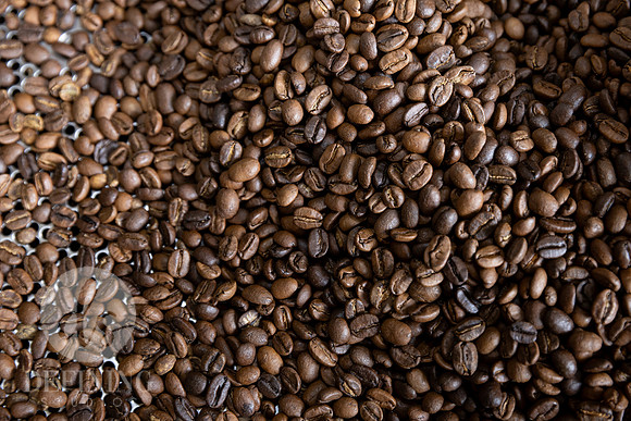 JRene_Coffee_Roasters_094