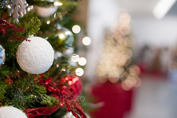 Festival_Of_Trees_116