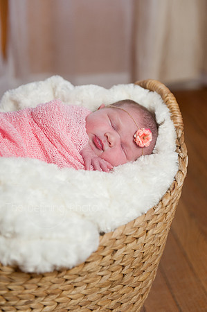 Harper_NB_12