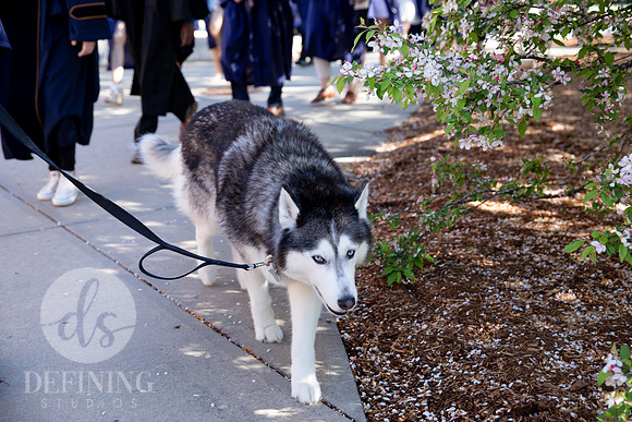 SoE_Commencement_0149