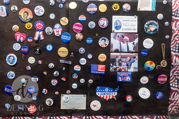 Political_Pins_-5