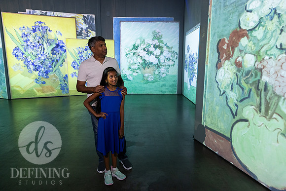 Beyond_Monet-VanGogh-PROOFS-079
