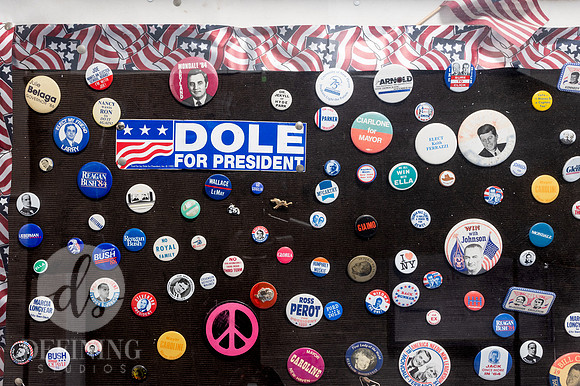 Political_Pins_-3