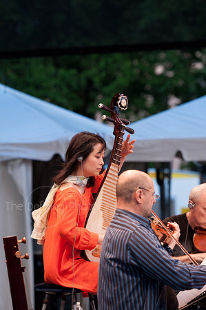 IFOAI_2013_207