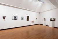 Goldfarb_Installation-14