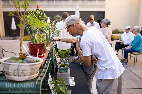Bonsai_and_Brew_076