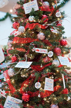 Festival_Of_Trees_053