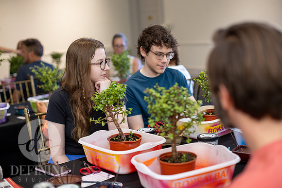 Bonsai_and_Brew_055