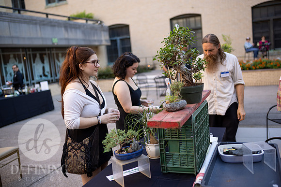 Bonsai_and_Brew_118