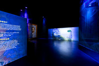 Beyond_Monet-VanGogh-PROOFS-011