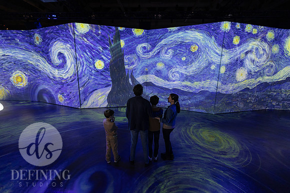 Beyond_Monet-VanGogh-PROOFS-122