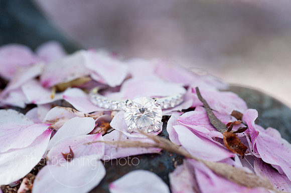 Kim&Mike_Engagement_94