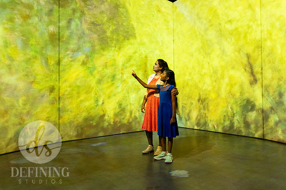 Beyond_Monet-VanGogh-PROOFS-033