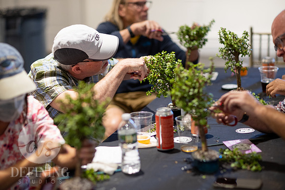 Bonsai_and_Brew_143