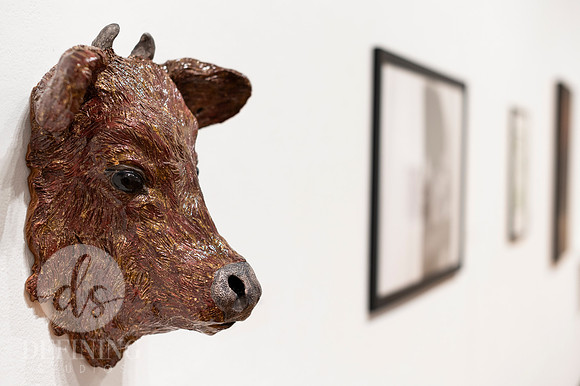 Goldfarb_Installation-75