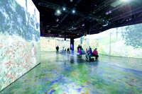 Beyond_Monet-VanGogh-PROOFS-013