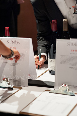 Splendor_Gala_238