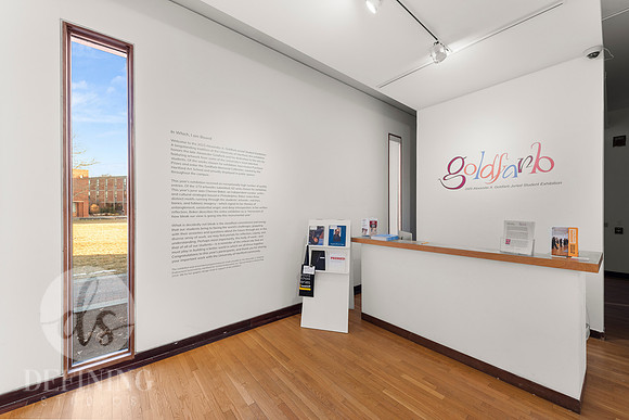 Goldfarb_Installation-65