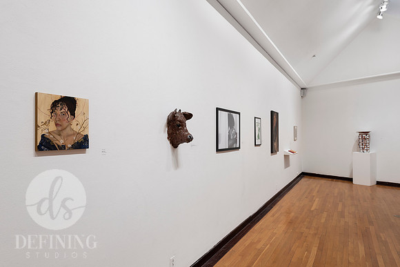 Goldfarb_Installation-56