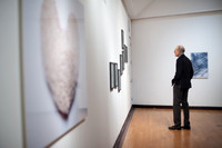 Koopman_Opening_003
