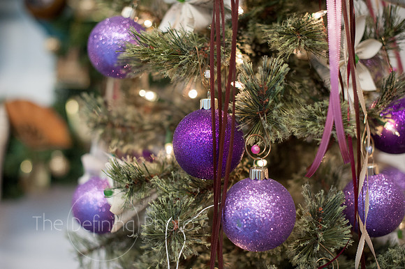Festival_Of_Trees_110