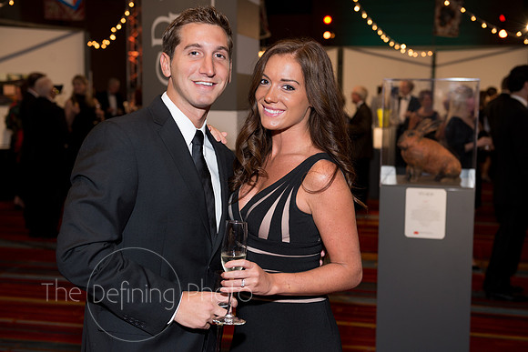 Splendor_2013_112