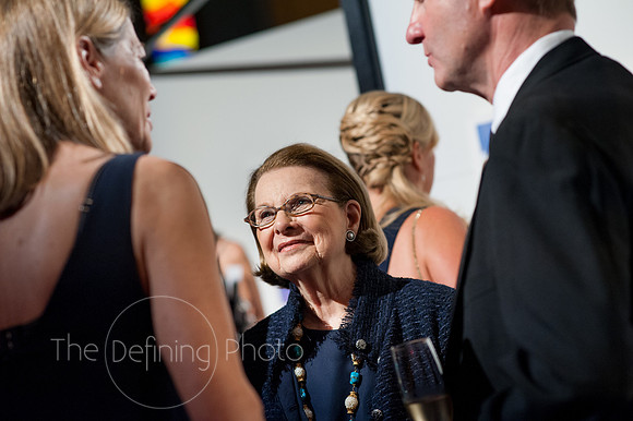 Splendor_Gala_237