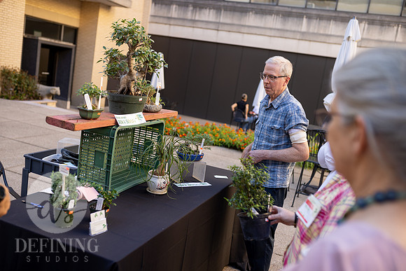 Bonsai_and_Brew_077