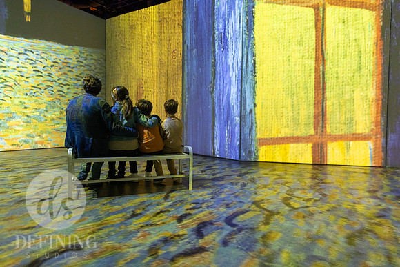 Beyond_Monet-VanGogh-PROOFS-056
