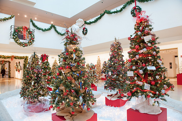 Festival_Of_Trees_051