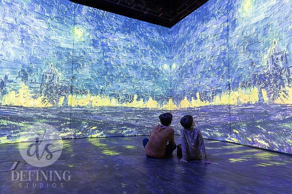 Beyond_Monet-VanGogh-PROOFS-070