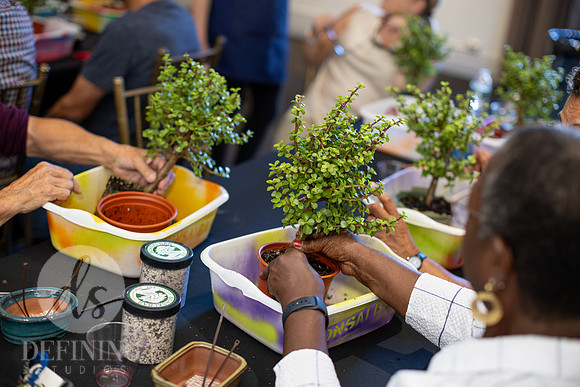 Bonsai_and_Brew_058
