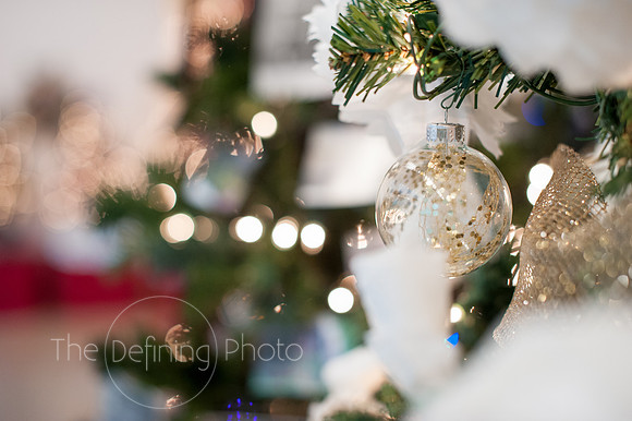 Festival_Of_Trees_115