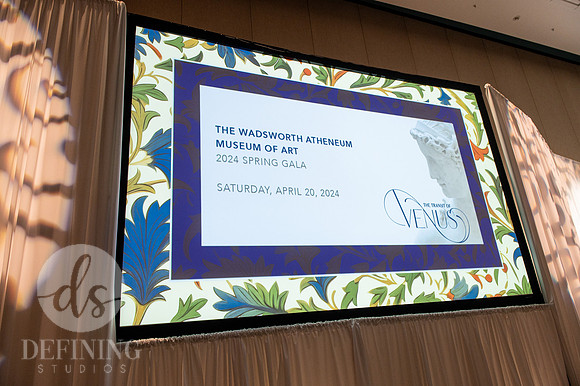 Wadsworth_Spring_Gala_001