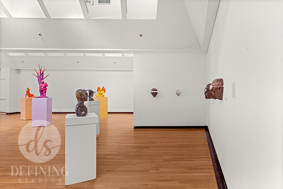 BFA_Thesis_3_021