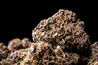Buds_Macro-01