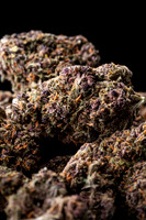 Buds_Macro-02